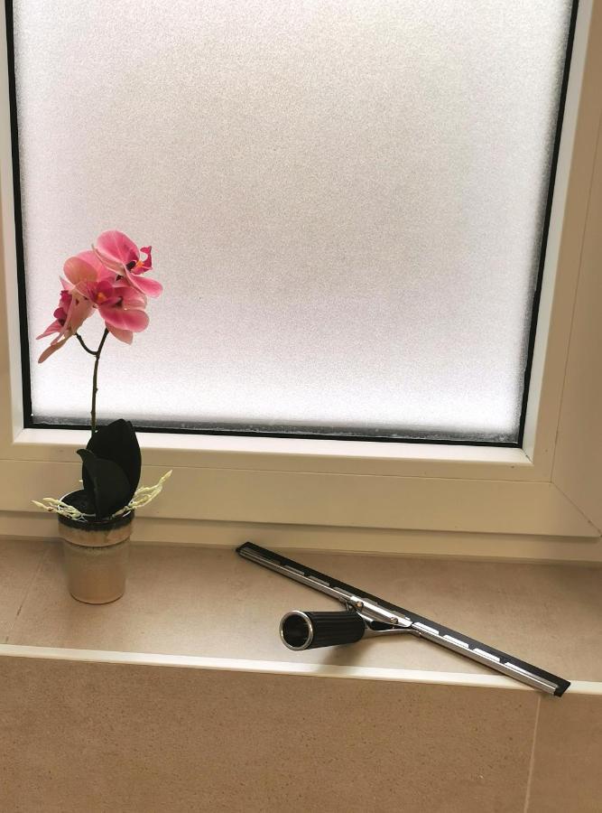 Bohnapartments Xl Suite - 2 Schlafzimmer Mit Balkon - Zentrum - Petersberg - Domplatz 埃尔福特 外观 照片